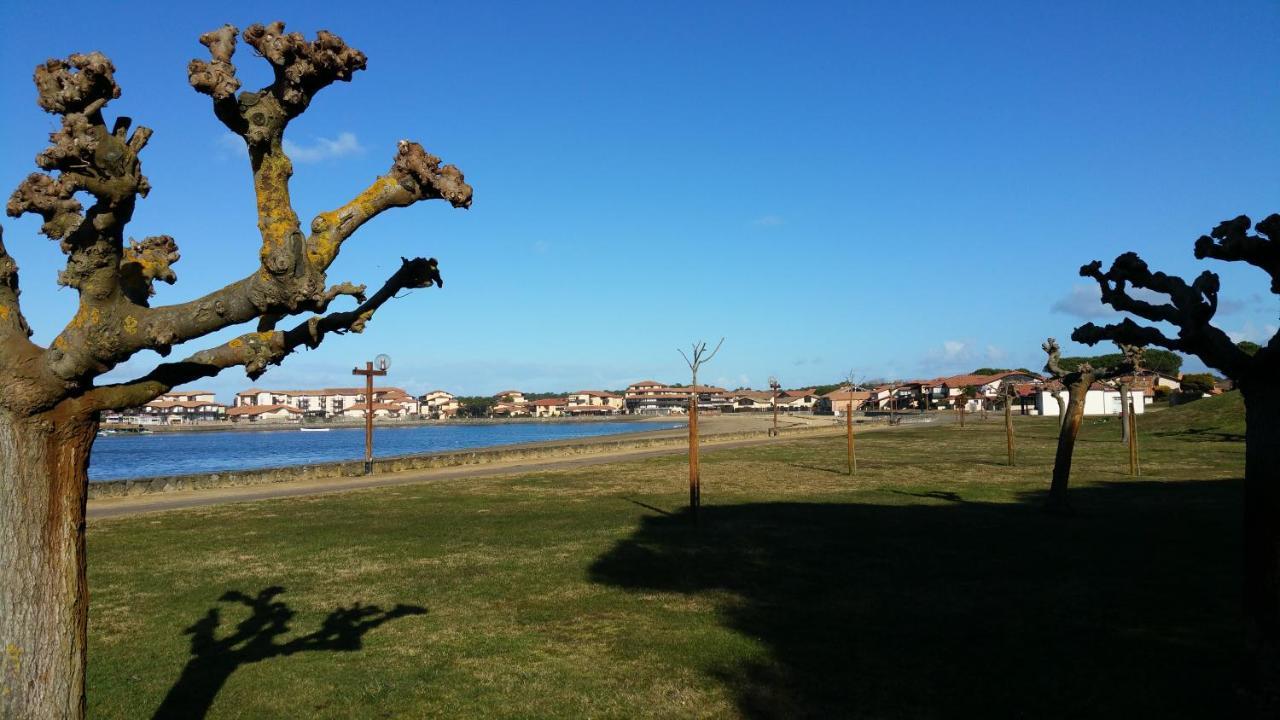Le 322 Entre Lac Et Ocean Vieux-Boucau-les-Bains Extérieur photo